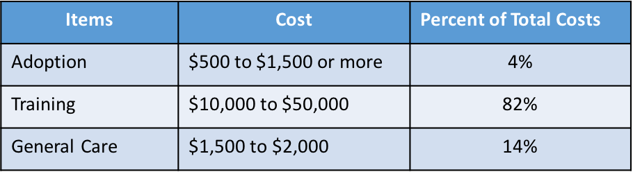 Service Dog Training Cost