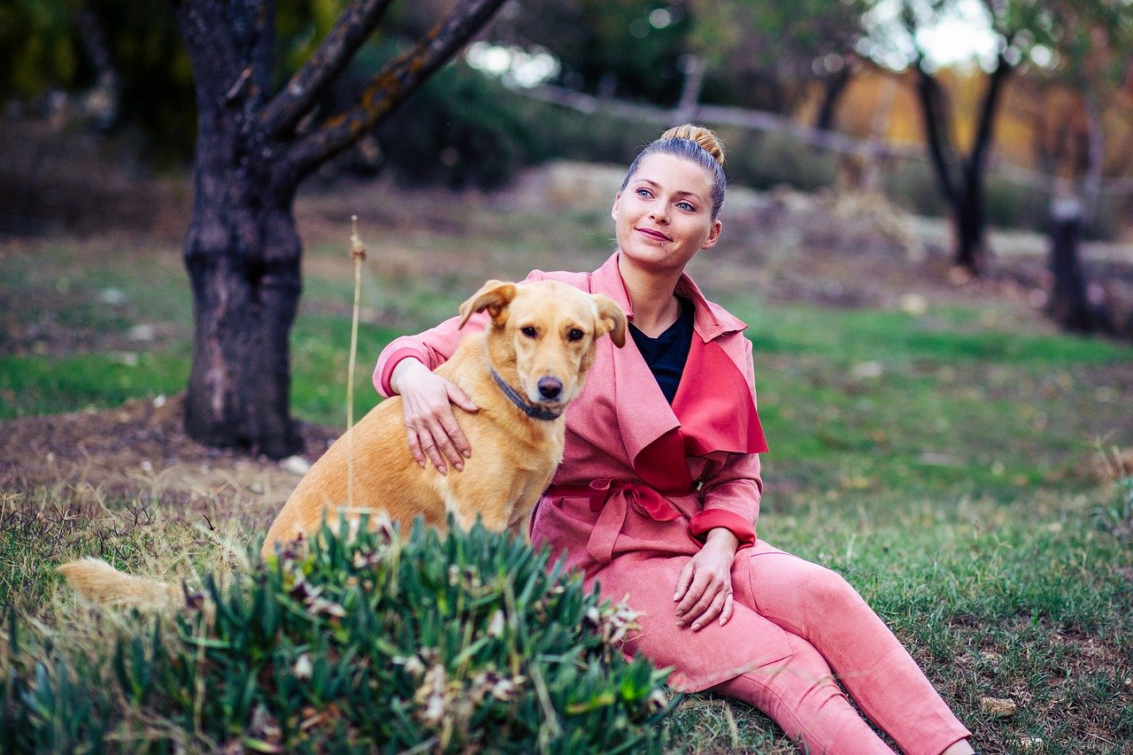 psychiatric service dog