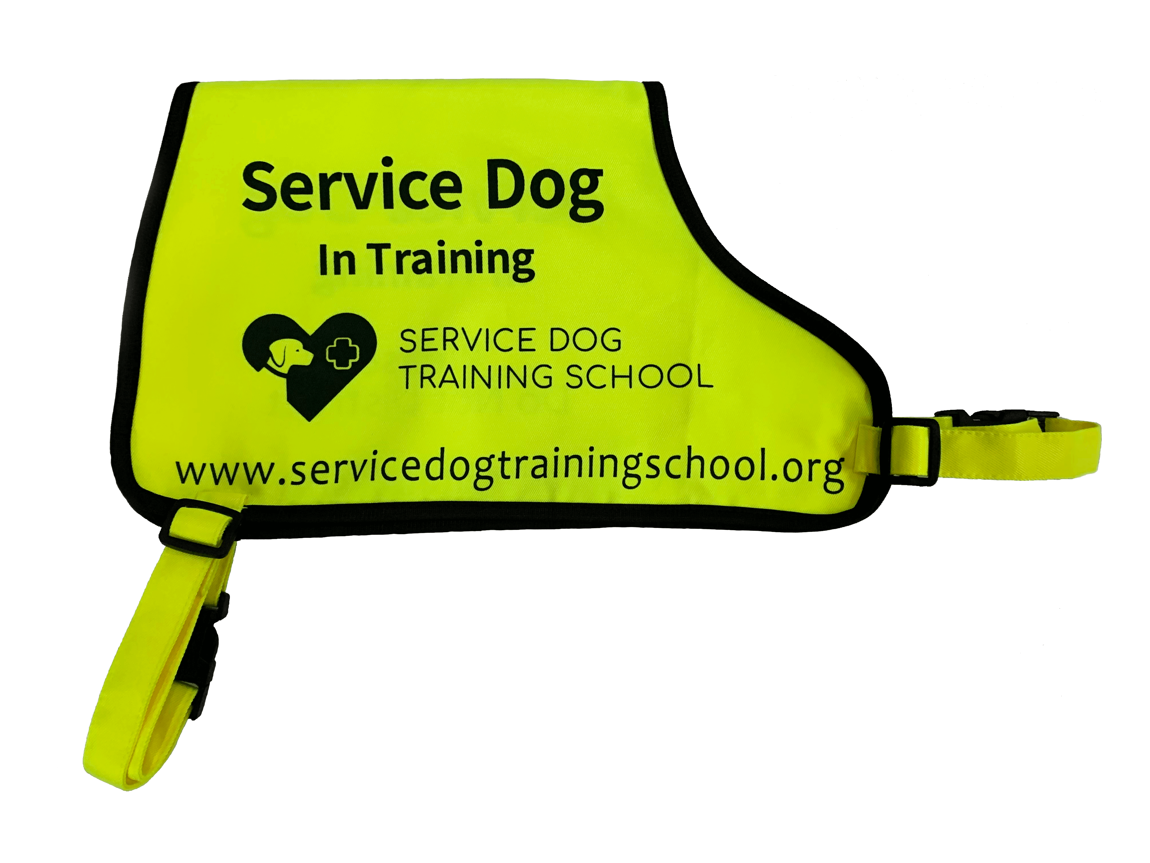 Service Dog in Training Vest: Do You Need It?