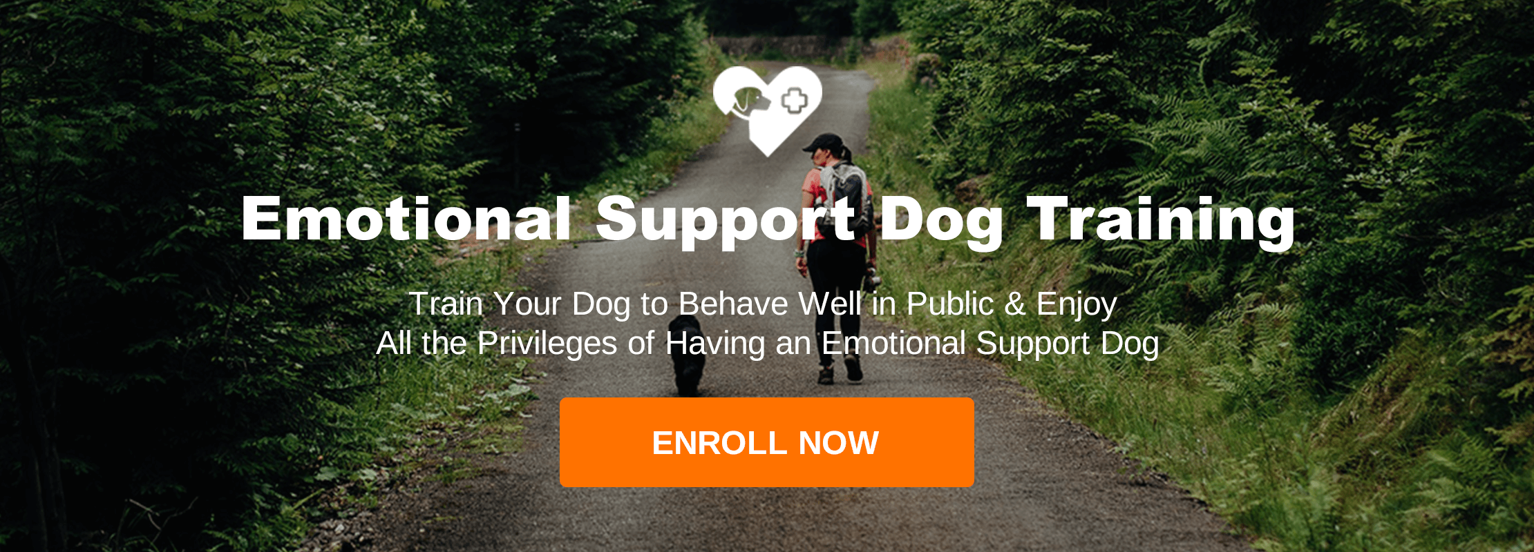 Certified Emotional Support Dog Training Package