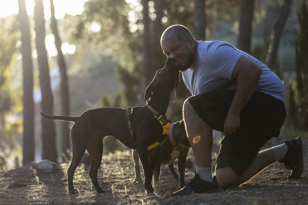 Train Service Dog Ptsd, Ptsd Service Dog Training Near