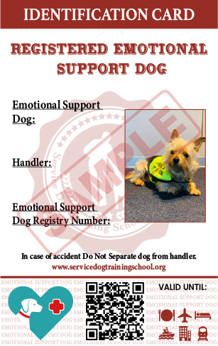 Emotional support shop dog identification