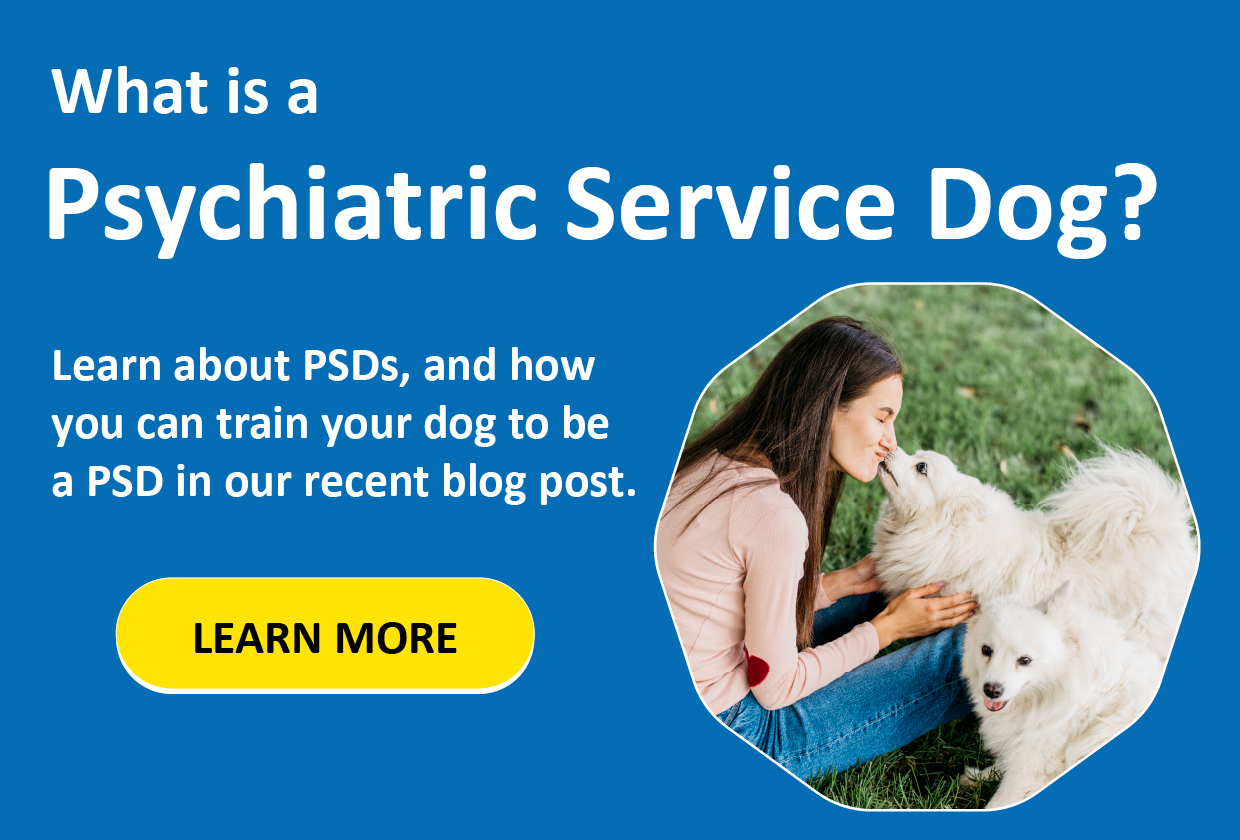 Brain Training For Dogs Review (2023 Upd.) Scam or Legit?