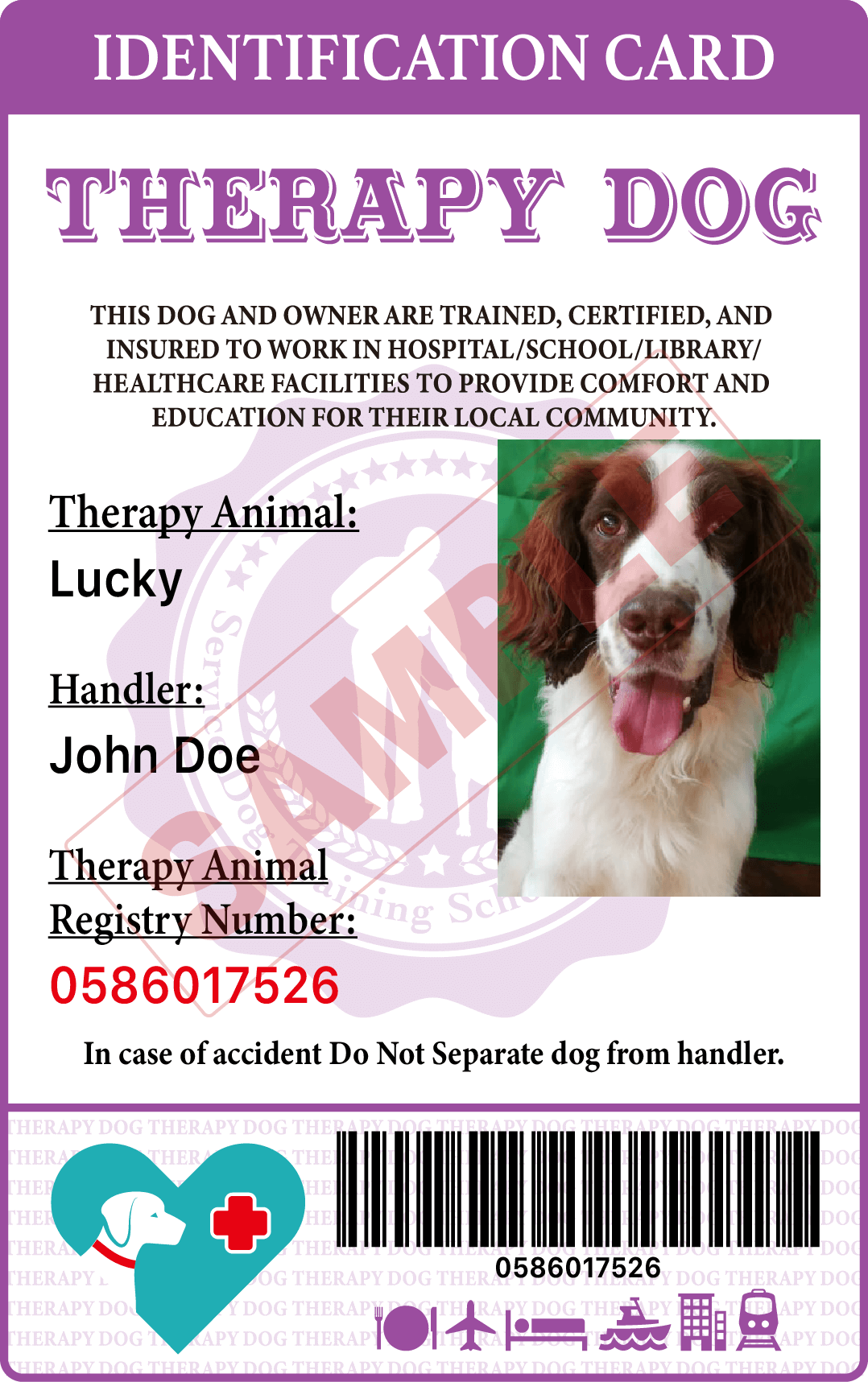 Service Dog Training School International Certified