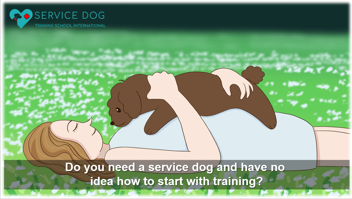 Intensive Canine Good Citizen Training Course