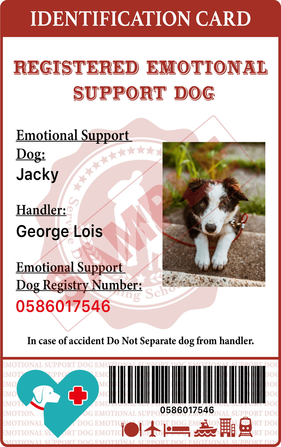 Service Dog Training School International online school